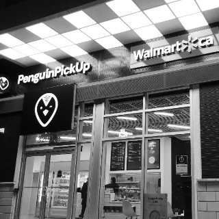 PENGUIN PICKUP CONCEPT IS INTRODUCED